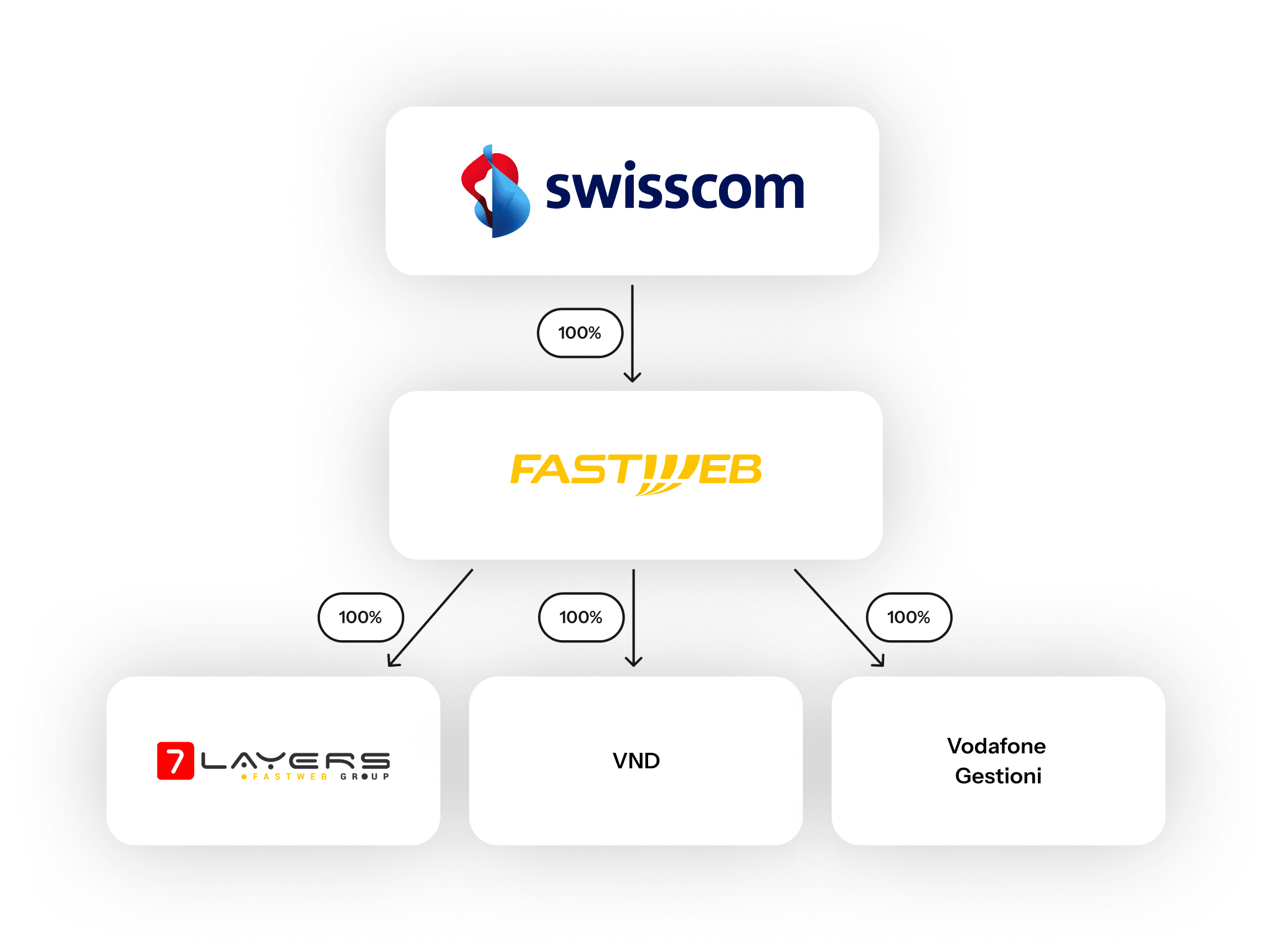 Struttura societaria